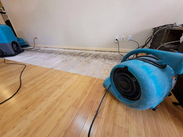 Reliable Basement Flood Cleanup contractor in Eucha, OK by Hirex Water Damage