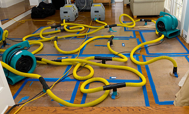 Professional Basement Flood Cleanup technician working in Eucha, OK